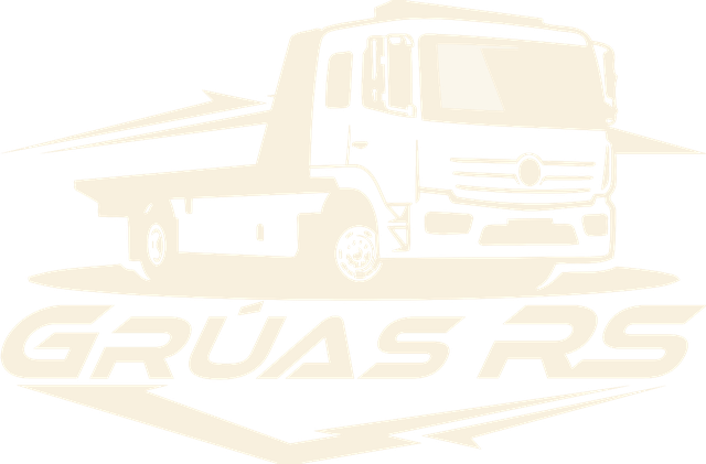 Grúas RS